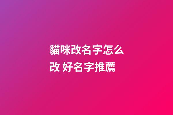 貓咪改名字怎么改 好名字推薦